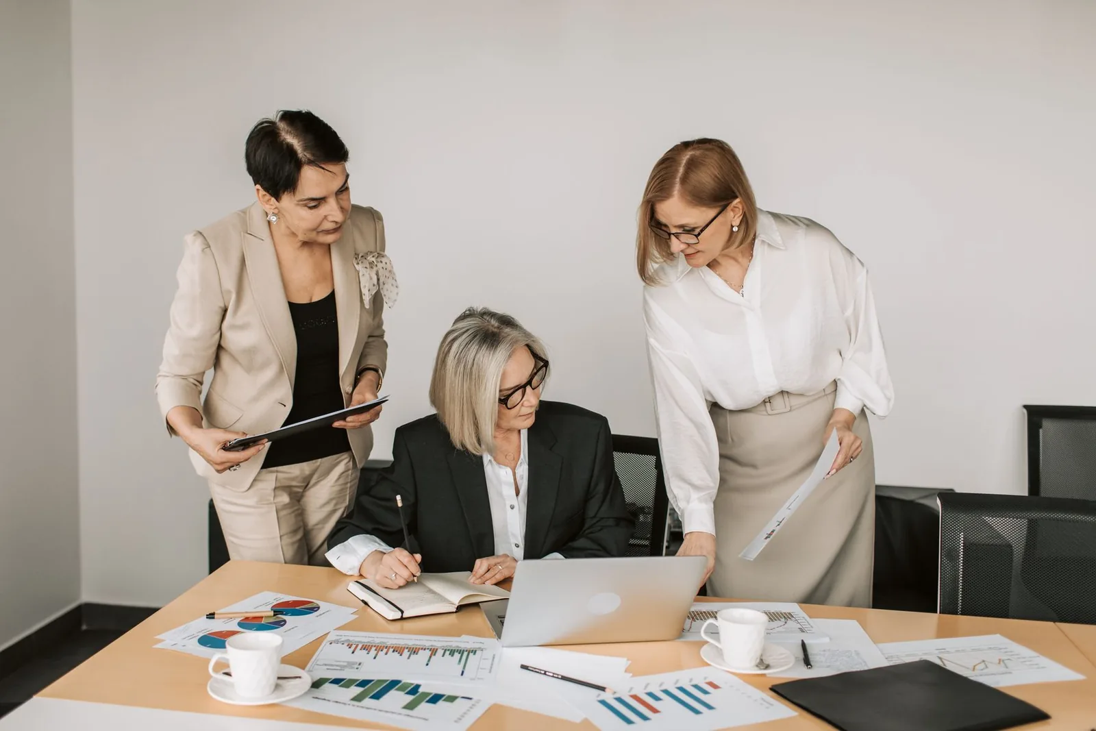 Business Consulting for Startups: From Idea to Operating Company implementation and operating review