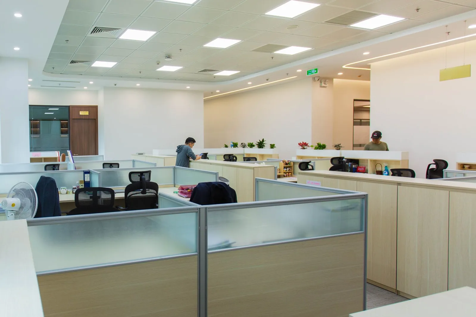 Office and operations team executing work related to Business Consulting